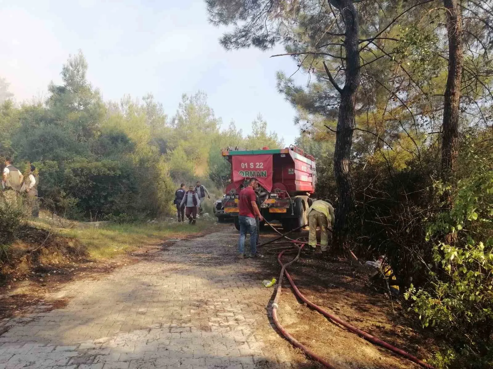 Osmaniye’de orman yangını başladı