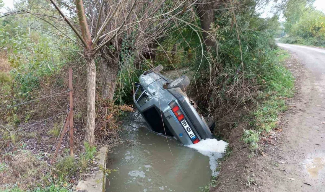 KASTAMONU'NUN TAŞKÖPRÜ İLÇESİNDE OTOMOBİLİN