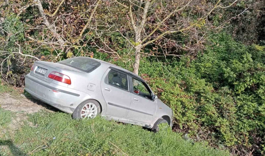 OTOMOBİLİNİ MICIRA KAPTIRDI, AĞAÇLIK