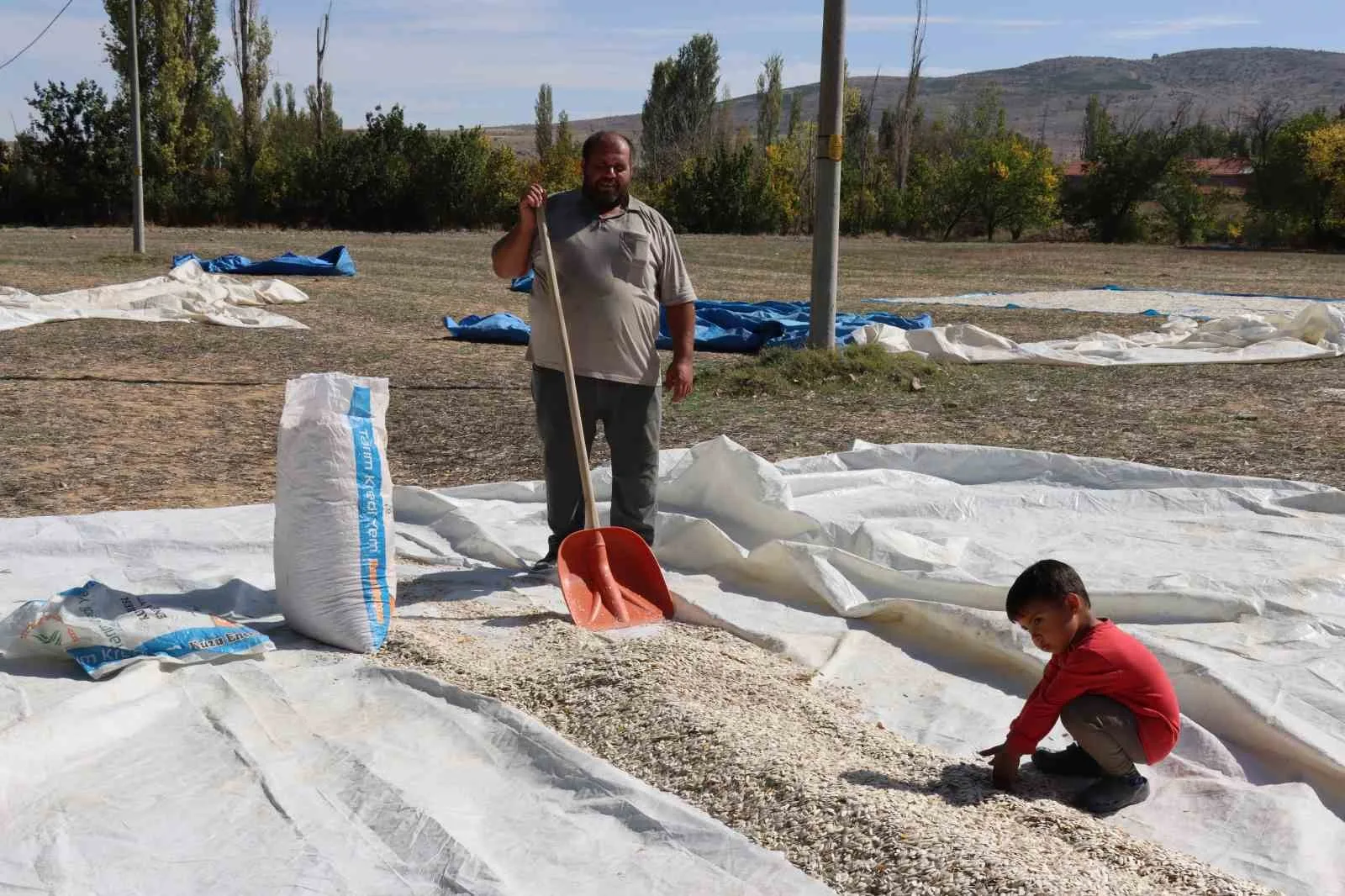 (ÖZEL) Tüccarın fırsatçılığı çiftçiyi mağdur ediyor