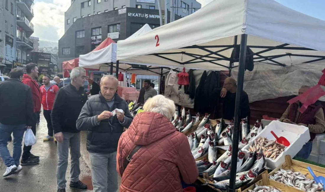 ZONGULDAK’TA PALAMUT TEZGAHLARDA 150