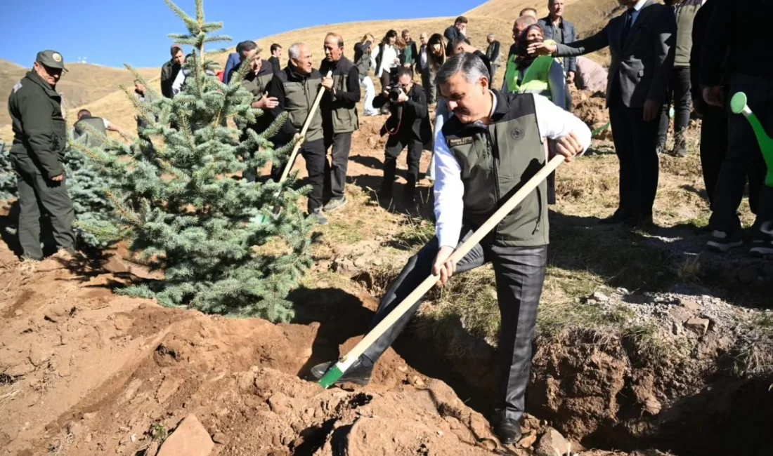 ERZURUM'DA ORMAN BÖLGE MÜDÜRLÜĞÜ