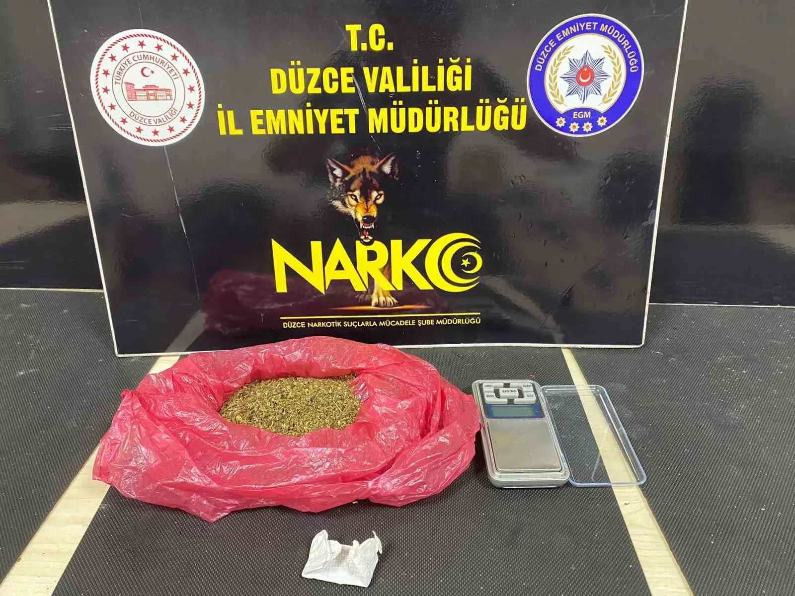 Polis koçbaşı ile kapıyı kırıp girdiği evde narkotik köpeği ile arama yaptı