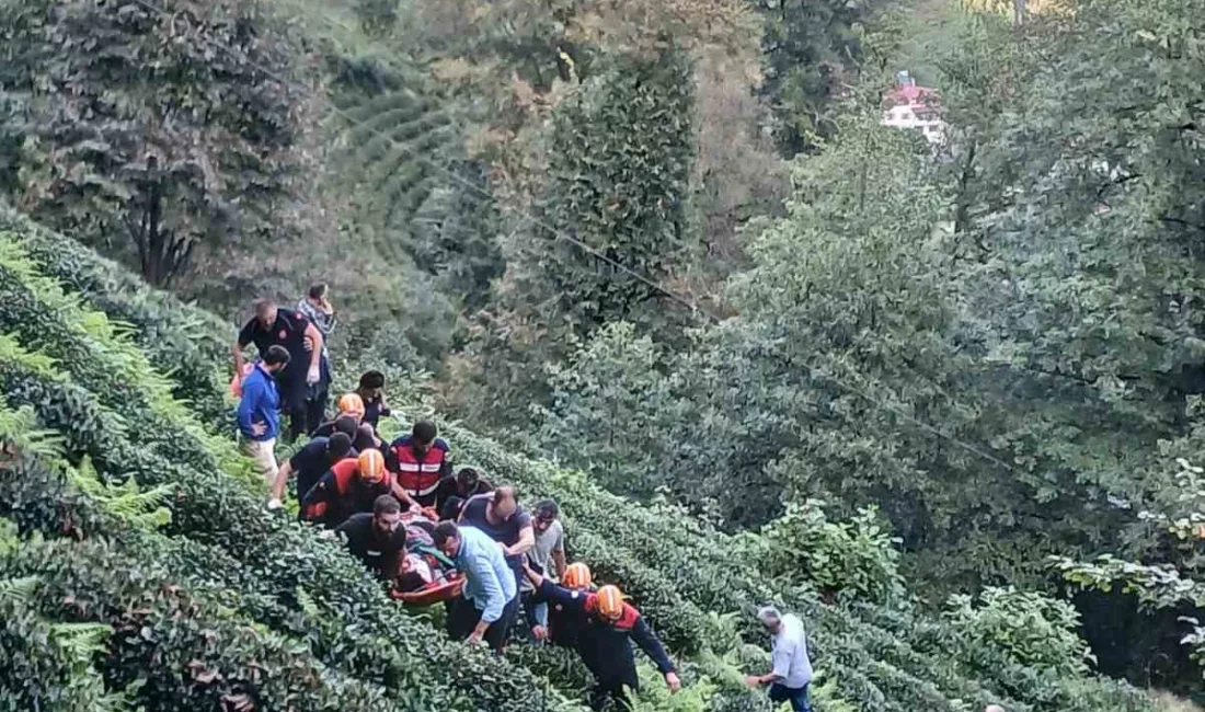 RİZE’DE UÇURUMA YUVARLANAN ARAÇTA