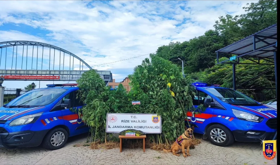 RİZE İL JANDARMA KOMUTANLIĞI