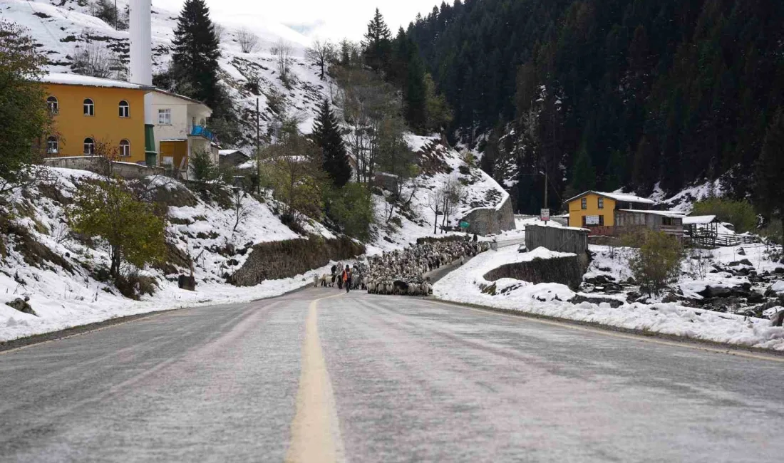 RİZE’DE KARIN YAĞMASININ ARDINDAN