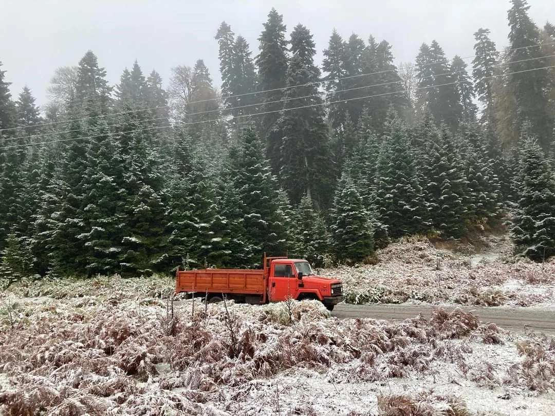 Sakarya’nın yüksek kesimleri kısmen beyaza büründü