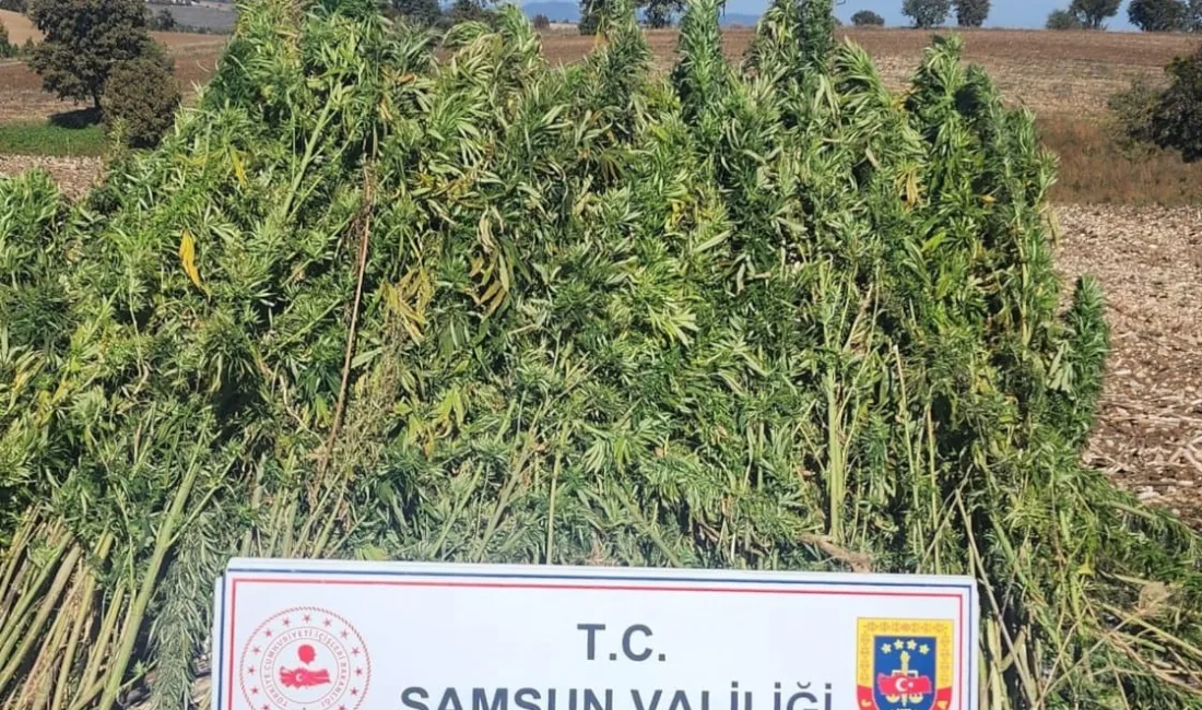 SAMSUN'DA JANDARMA EKİPLERİ TARAFINDAN