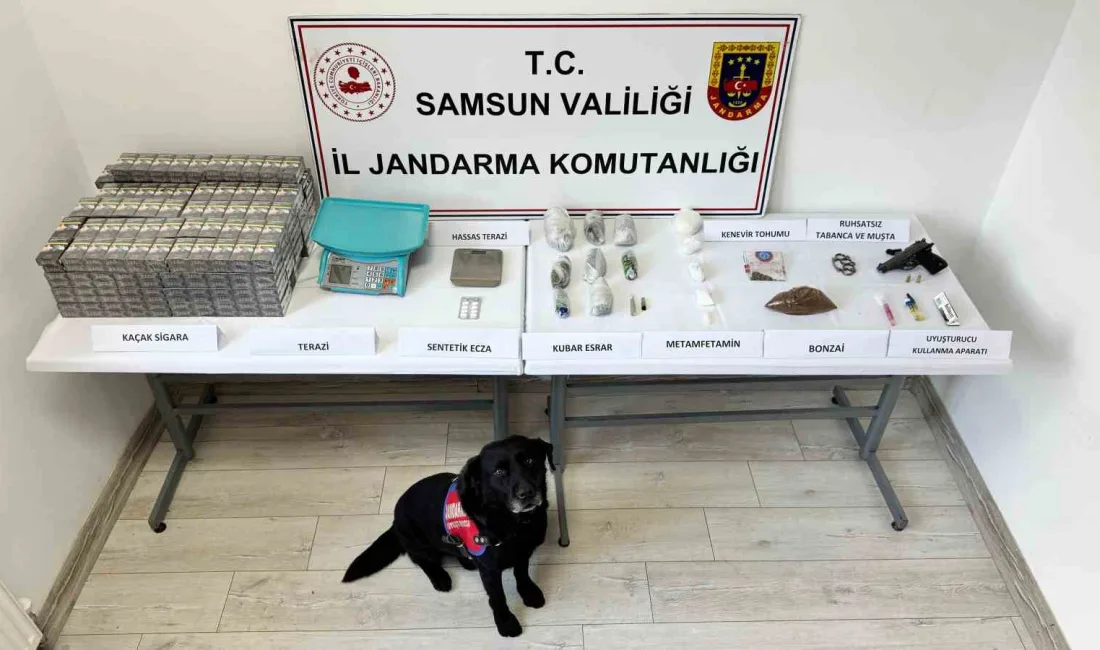 SAMSUN'UN KAVAK İLÇESİNDE JANDARMA