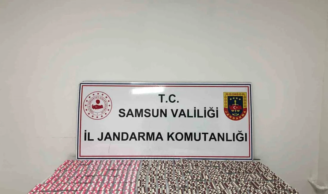 SAMSUN'DA JANDARMA EKİPLERİ TARAFINDAN