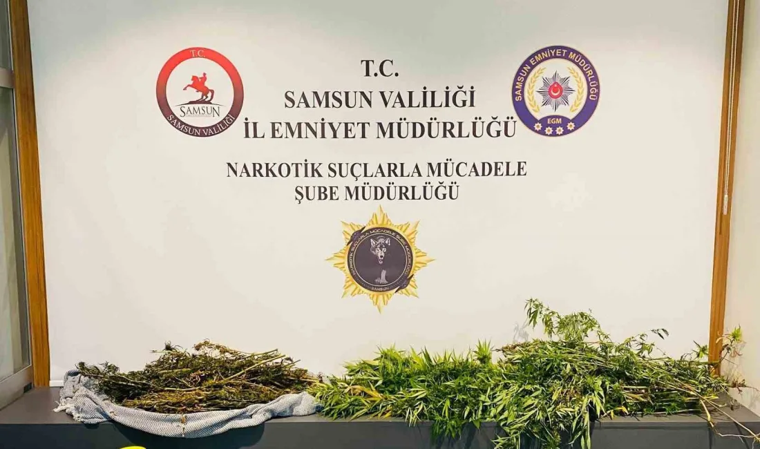 SAMSUN'DA UYUŞTURUCU OPERASYONUNDA ESRAR