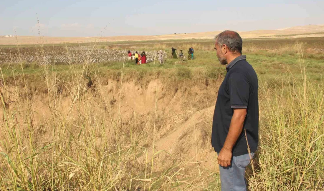 ŞANLIURFA'FA HARRAN OVASI'NDA OLUŞAN