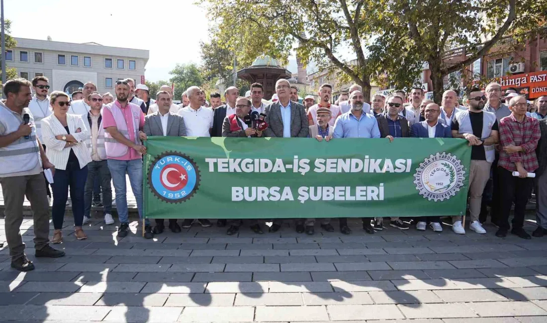 İSTANBUL ÇATALCA'DA BULUNAN POLONEZ