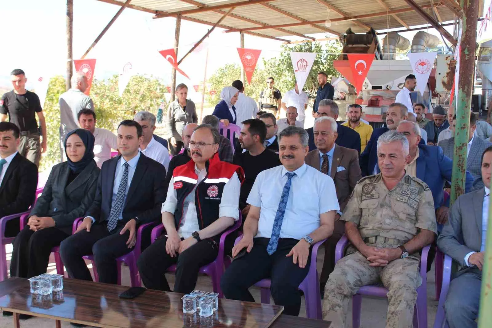 Siirt’te ‘Fıstık Festivali’ kapsamında fıstık hasadı yapıldı