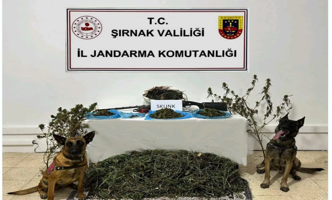 ŞIRNAK İL JANDARMA KOMUTANLIĞI