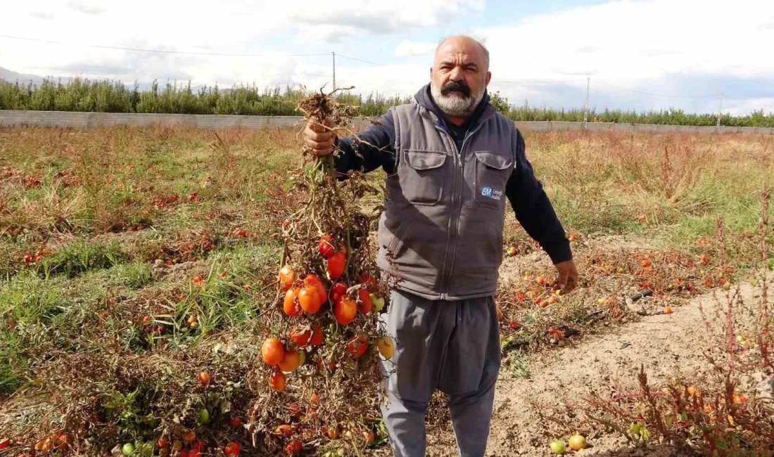 VAN’DA SON GÜNLERDE ETKİLİ