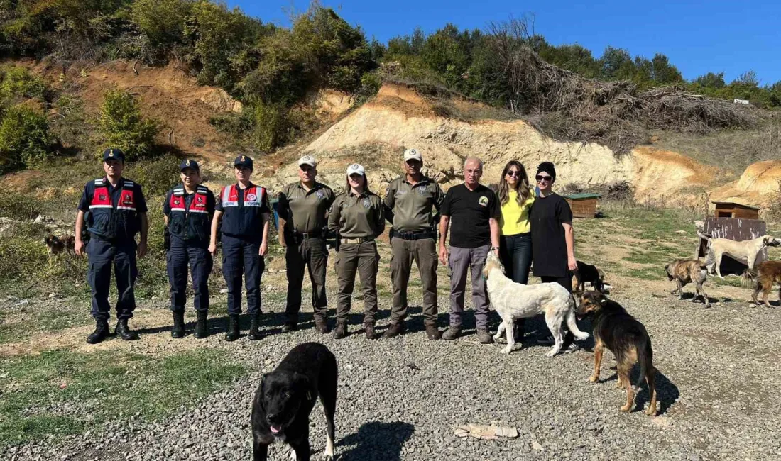 SAMSUN'DA HAYVANLARI KORUMA GÜNÜ