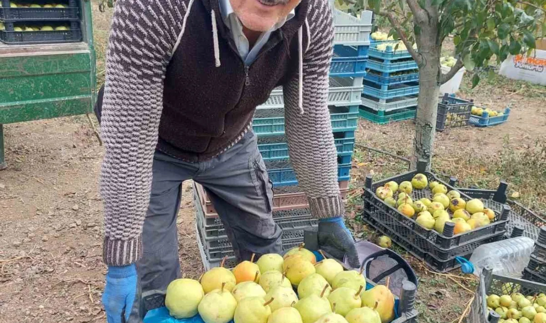 ÇORUM'UN SUNGURLU İLÇESİ'NE BAĞLI