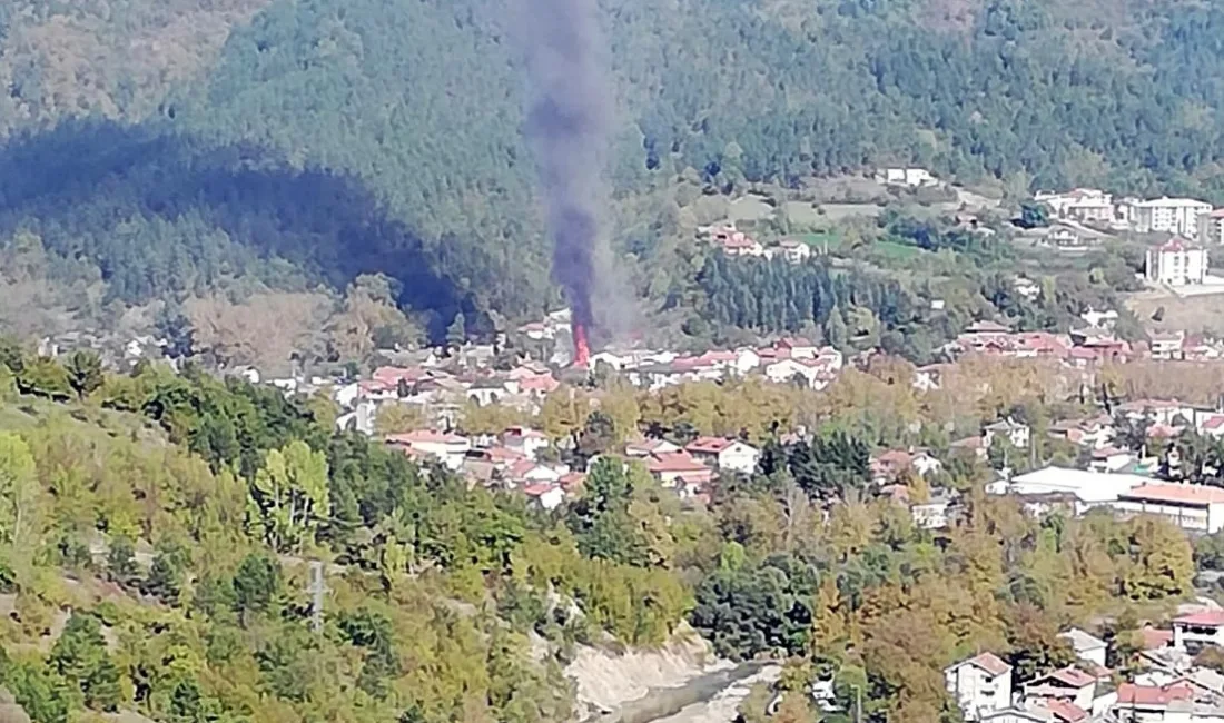 BARTIN'IN ULUS İLÇESİNDE BULUNAN