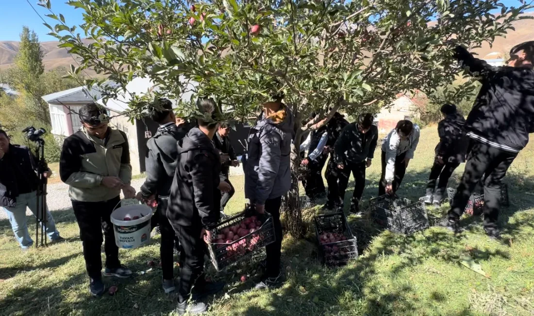 HAKKARİ'NİN YÜKSEKOVA İLÇESİNDE TARIM