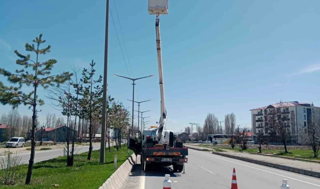 TÜRKİYE ELEKTRİK DAĞITIM A.Ş.