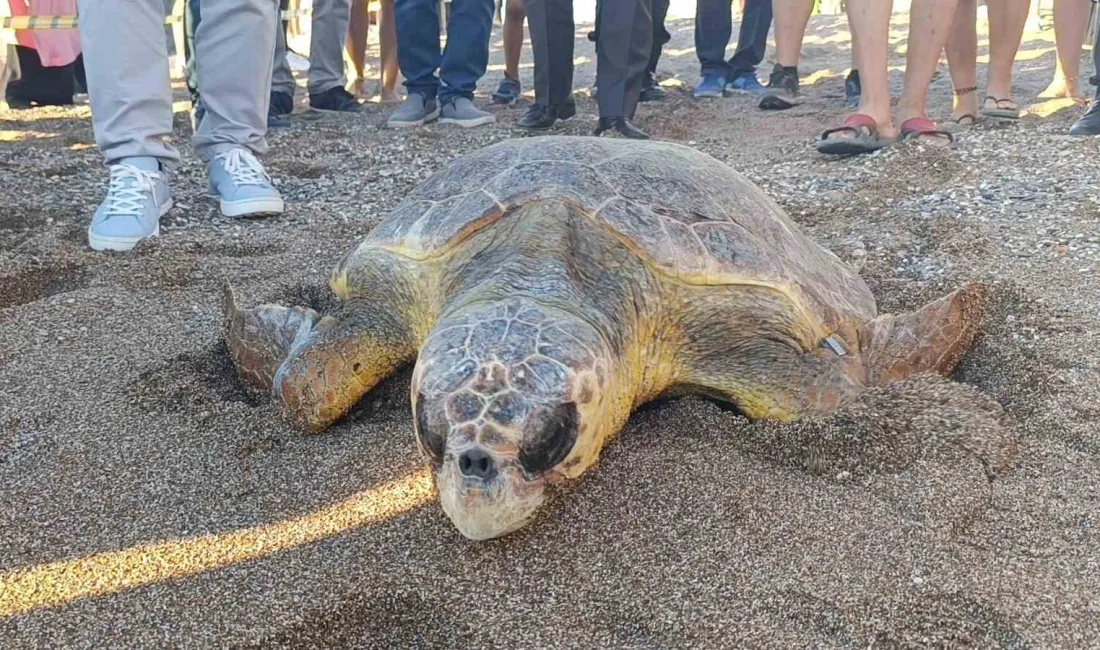 MUĞLA'NIN ORTACA İLÇESİNDEKİ İZTUZU