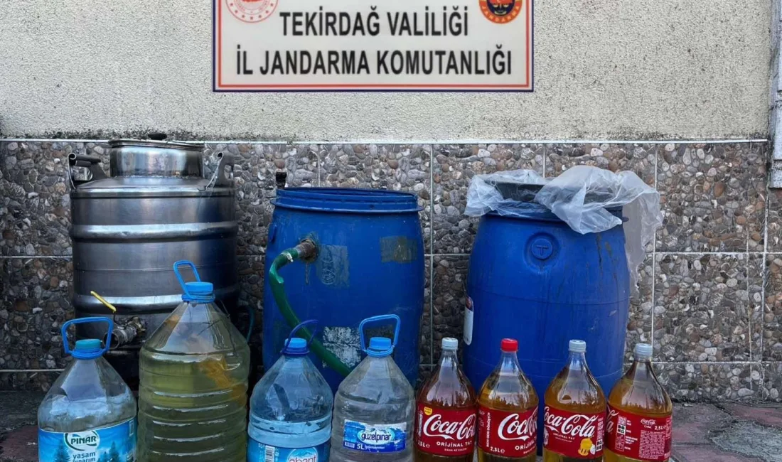 TEKİRDAĞ'IN ÇEŞİTLİ İLÇELERİNDE DÜZENLENEN