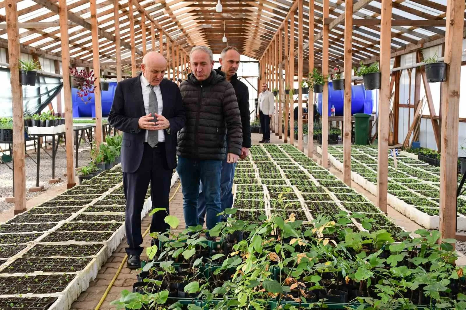 Terme’de mevsimlik çiçekler toprakla buluşmaya hazırlanıyor