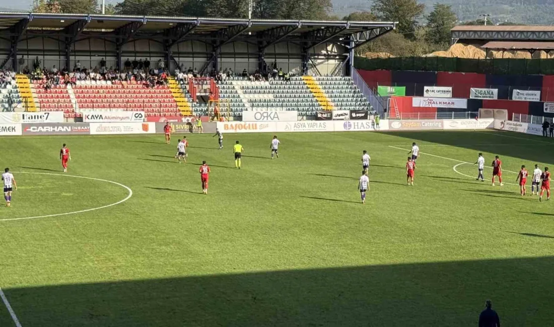 DÜZCESPOR, TFF 3. LİGİN