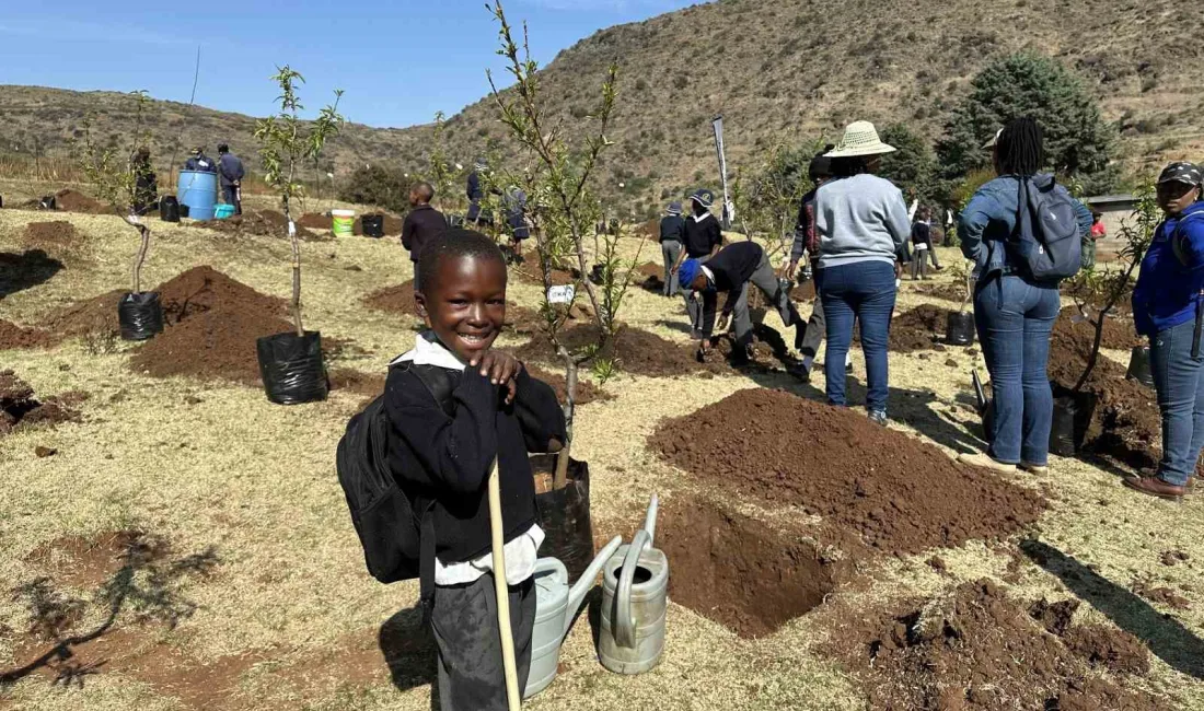 FİDANLARIN 200’Ü, LESOTHO’NUN BAĞIMSIZLIK