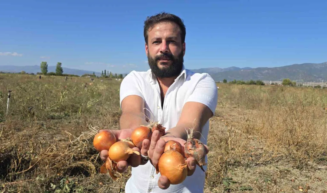 TOKAT'IN ERBAA İLÇESİNDE ÇİFTÇİ