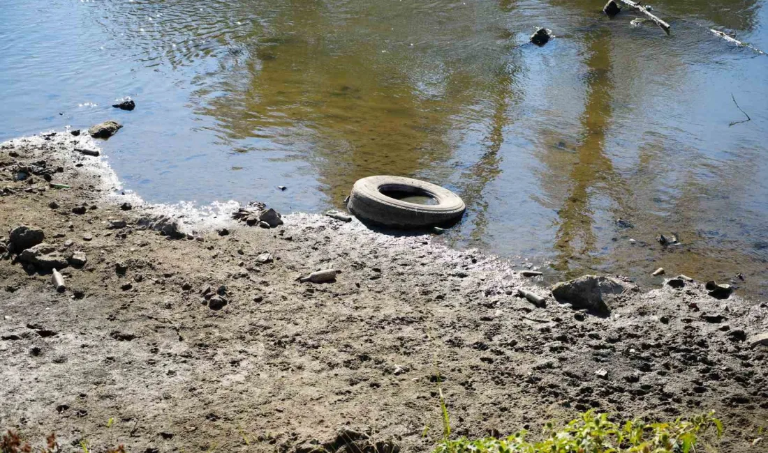 EDİRNE'DE TUNCA NEHRİ'NDE YAŞANAN