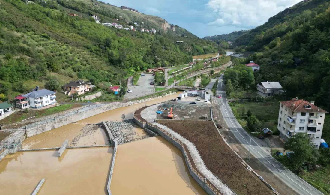 TRABZON'DA SON YILLARDA DOĞAL