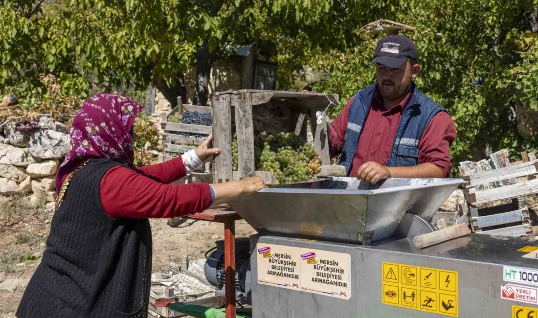 MERSİN BÜYÜKŞEHİR BELEDİYESİ TARIMSAL