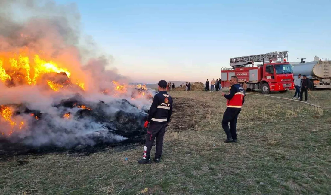 VAN’IN ÇALDIRAN İLÇESİNDE OT