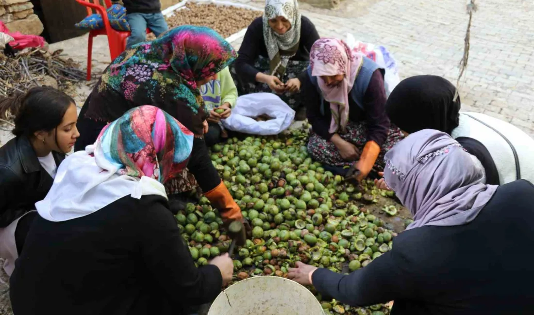 VAN’IN ÇATAK İLÇESİNDE SONBAHAR