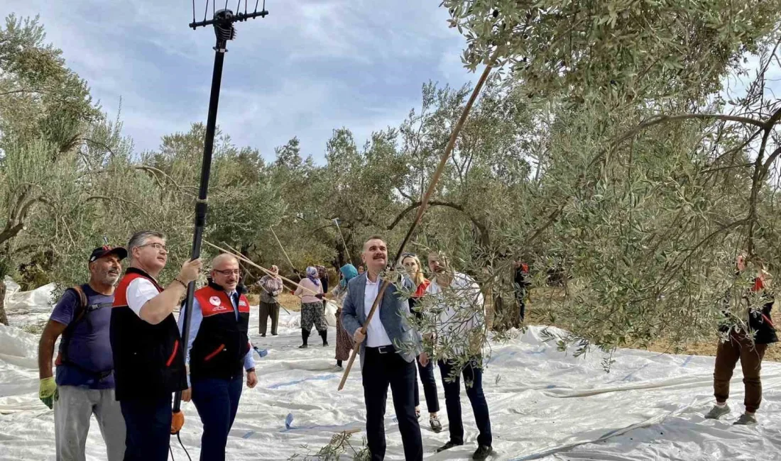 BALIKESİR’İN EDREMİT KÖRFEZİ BÖLGESİNİN