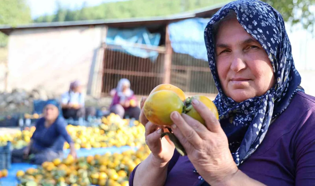 ÜRETİCİ RAHİME ÇAM