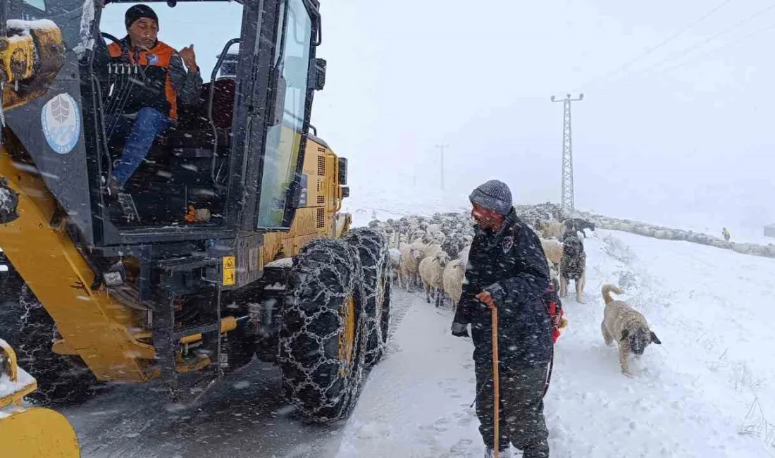 TRABZON’UN DÜZKÖY İLÇESİNE BAĞLI