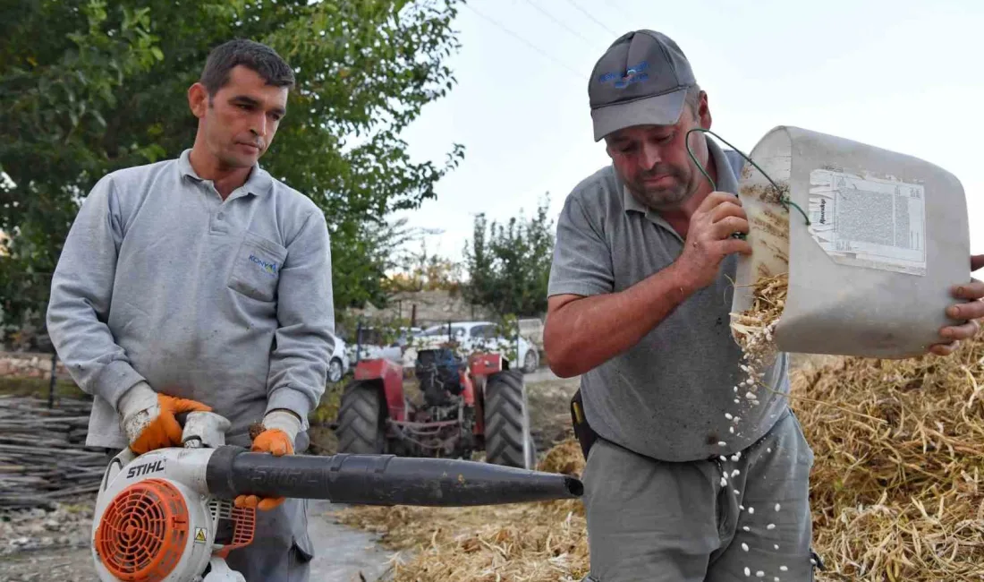 KONYAALTI BELEDİYESİ YAYLA ŞENLİKLERİNE