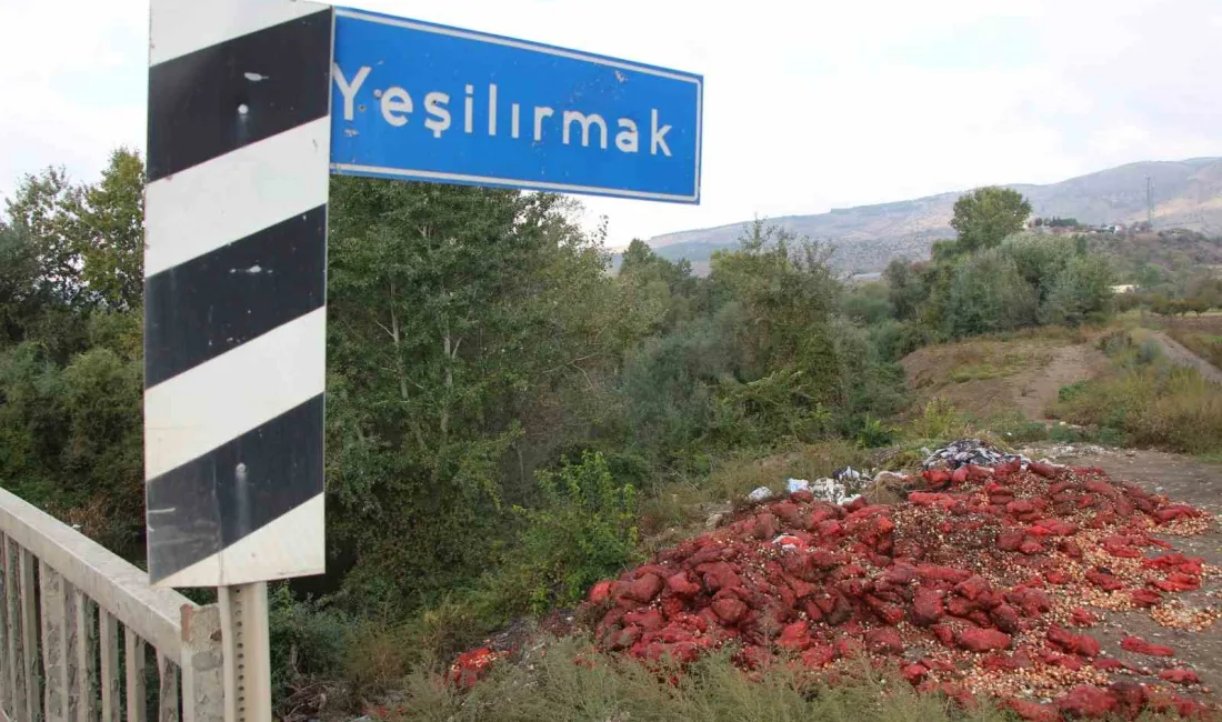 AMASYA'DA YEŞİLIRMAK NEHRİ'NİN KIYISINA