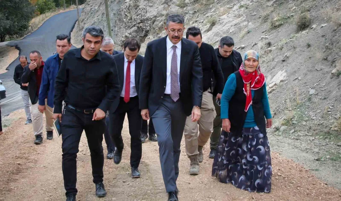 HAKKARİ VALİSİ ALİ ÇELİK,