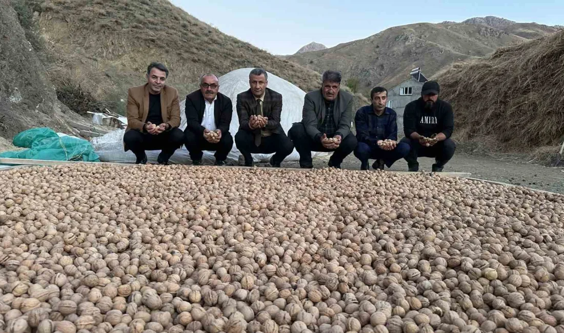 HAKKARİ’NİN YÜKSEKOVA İLÇESİNDE SONBAHAR