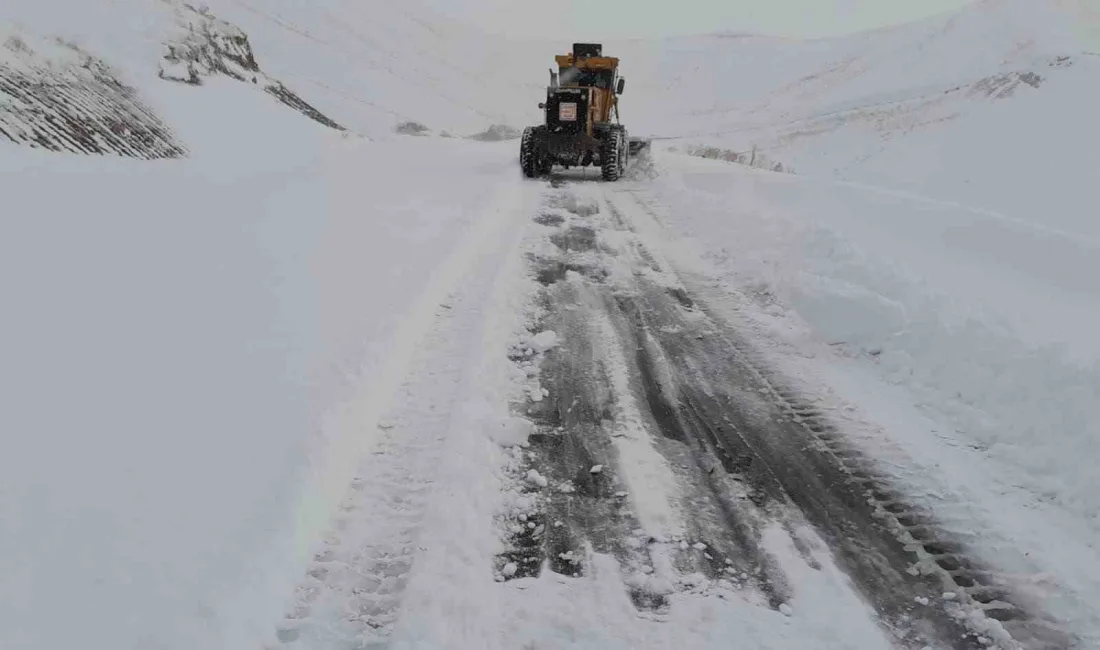 HAKKARİ’NİN YÜKSEKOVA İLÇESİNİN YÜKSEK