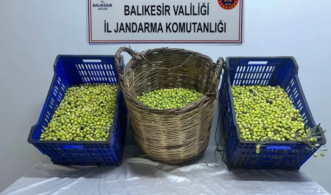 BALIKESİR’İN EDREMİT İLÇESİNDE JANDARMA