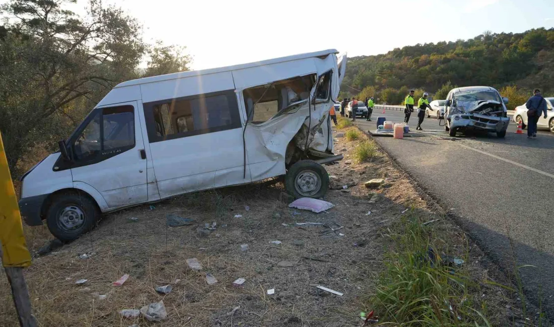 BALIKESİR'İN HAVRAN İLÇESİNDE ZEYTİN