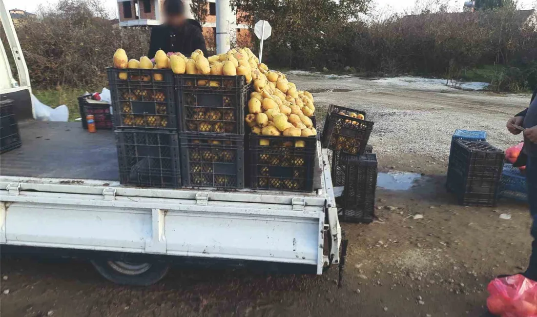 DÜZCE'DE ZABITA EKİPLERİNİN HAFTALIK