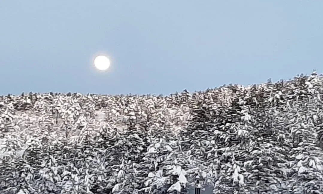 ADANA'NIN KUZEY İLÇELERİNDE METEOROLOJİNİN