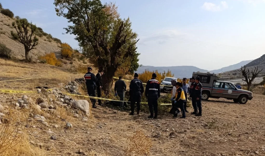 ADIYAMAN'IN KAHTA İLÇESİNDE AĞAÇTAN