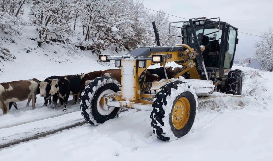 AMASYA'NIN YÜKSEK RAKIMLI BÖLGELERİNDE